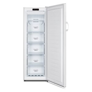 Gorenje FN4172CW