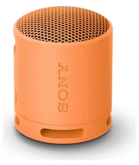 Sony SRS-XB100