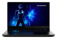 Medion ERAZER Defender 17 P1